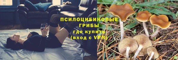 бутират Горнозаводск