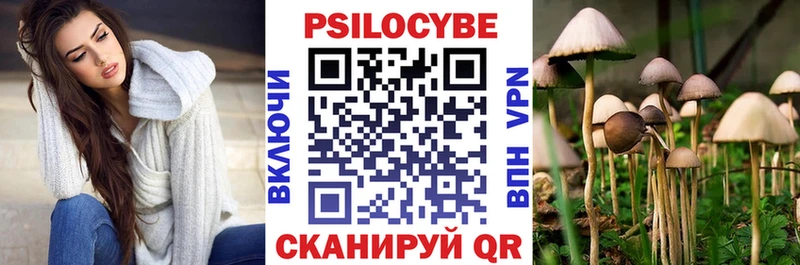 Псилоцибиновые грибы Psilocybe  Купить где  Колпашево 