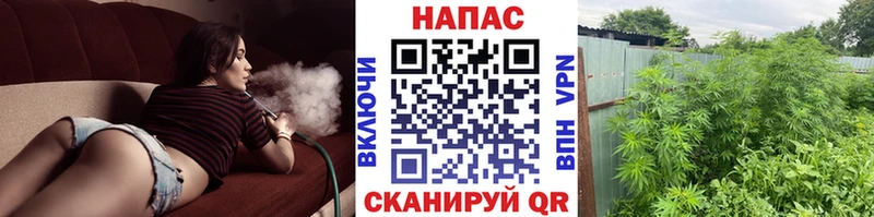 Купить закладки  Колпашево  Бошки марихуана SATIVA & INDICA 